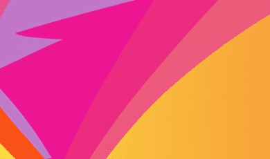 French Legal Translation Services for Academic Agreements and MOUs